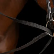 Drawreins Core Imperial Riding