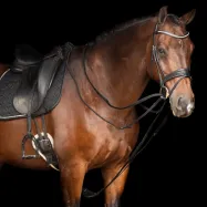 Drawreins Core Imperial Riding