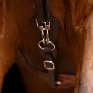 Drawreins Core Imperial Riding