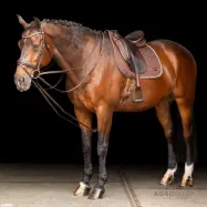 Drawreins Core Imperial Riding