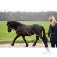 Long reins Free Ride Imperial Riding