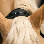 Leather halter Hera Imperial Riding