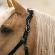 Leather halter Hera Imperial Riding