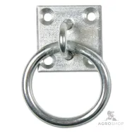 Tie Ring on Wall Plate Waldhausen