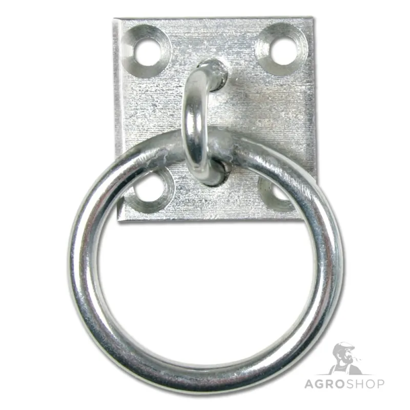 Tie Ring on Wall Plate Waldhausen