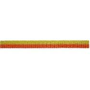 Elektrikarjuse taralint 10 mm/200 m