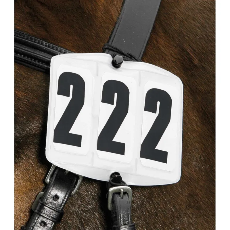 Bridle numbers Rectangular Waldhausen