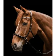 Bitless bridle Sensation Waldhausen X-Line