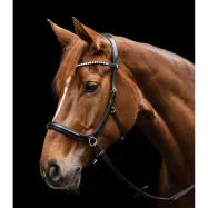 Bitless bridle Sensation Waldhausen X-Line