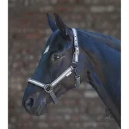 Halter Reflex Stripe Waldhausen