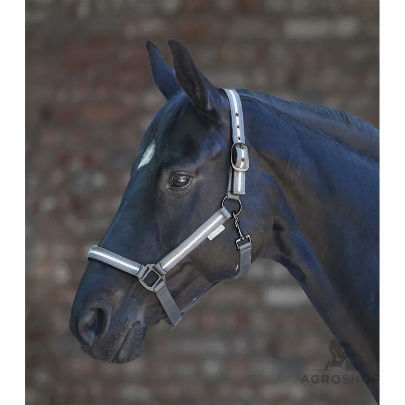 Halter Reflex Stripe Waldhausen