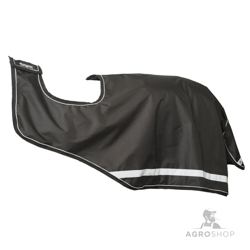 Excercise sheet Leo 100g Wahlsten