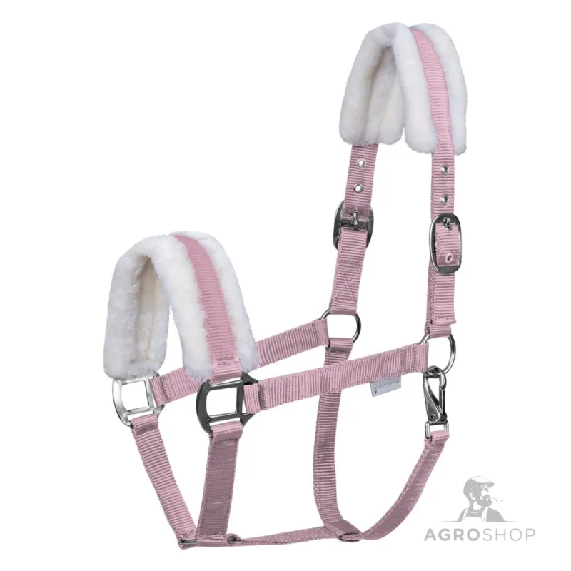 Halter First Waldhausen