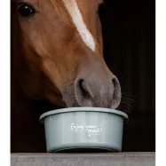 Kaanega maiusekauss 2L Waldhausen