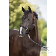 Halter Hippo Covalliero