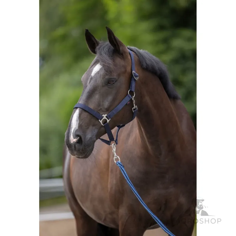 Halter Hippo Covalliero