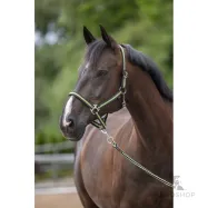 Halter Hippo Covalliero