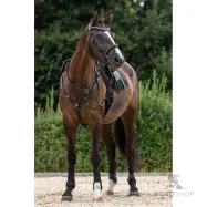 Breastplate martingale Covalliero