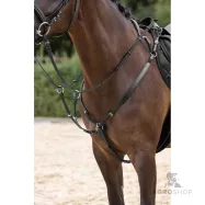 Breastplate martingale Covalliero