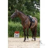 Breastplate martingale Covalliero