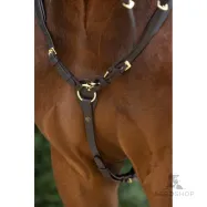 Breastplate martingale Covalliero