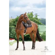 Bridle Swedish Covalliero