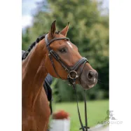 Bridle Swedish Covalliero