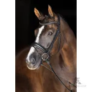 Bridle Swedish Covalliero