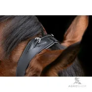 Bridle Anatomic Covalliero