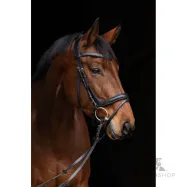 Bridle Anatomic Covalliero