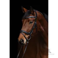 Bridle Anatomic Covalliero