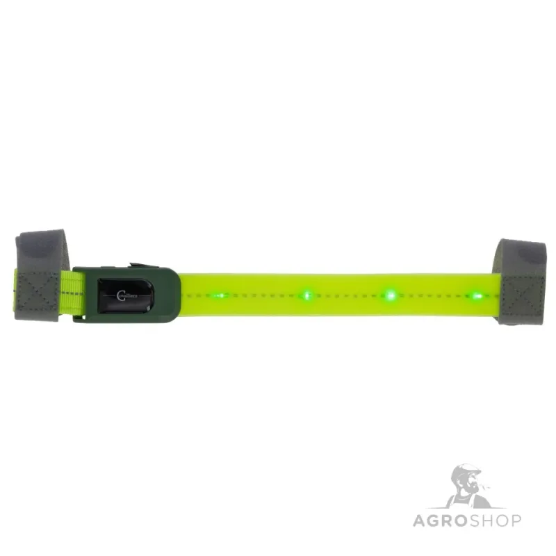 Brow strap LED Covalliero