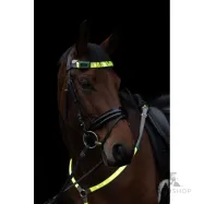 Brow strap LED Covalliero