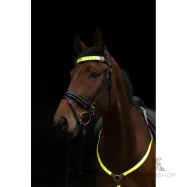 Brow strap LED Covalliero