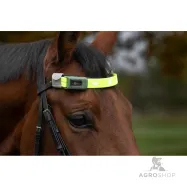Brow strap LED Covalliero