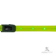 Breastplate LED Covalliero