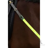 Breastplate LED Covalliero