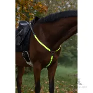 Breastplate LED Covalliero