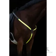 Breastplate LED Covalliero