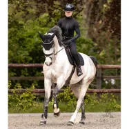 Back Protector P06 Flexible Swing