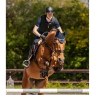 Body Protector P24 Max Swing