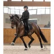 Dressage Saddle pad Milan Sheep Waldhausen