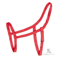 Halter Pasture Waldhausen