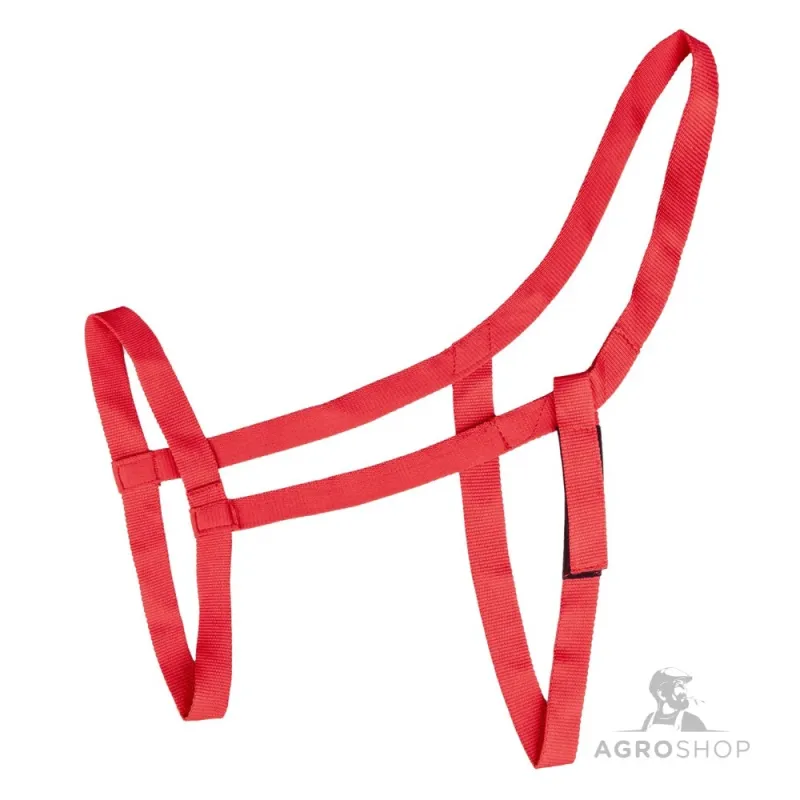 Halter Pasture Waldhausen