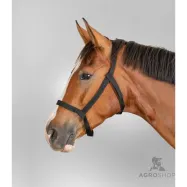 Halter Pasture Waldhausen