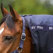 Fly rug Nena HV Polo