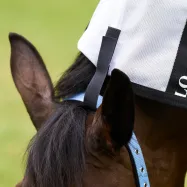 Fly rug Nena HV Polo