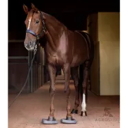 Balance pads Health & Care Waldhausen