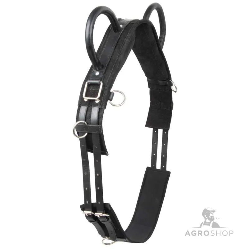 Lunging girth Vidal Imperial Riding