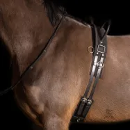 Lunging girth Vidal Imperial Riding